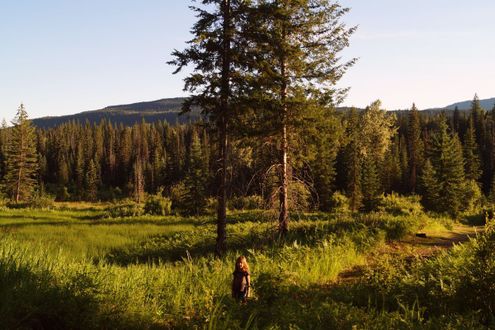 Wells Gray
