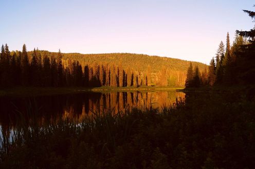 Wells Gray