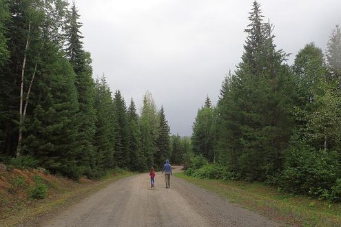 Wells Gray
