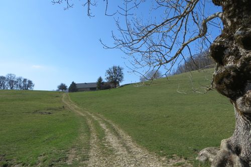 Groupe Dâne Sur La Montagne Dans Les Dolomites Italien