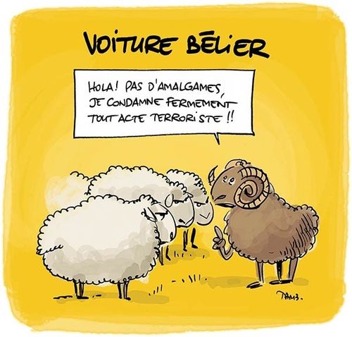 ob_c69867_voiture-belier-humour-tartrais