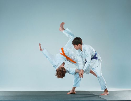 Reprise des cours de Self-Défense japonaise pour les enfants / adolescents à Besancon