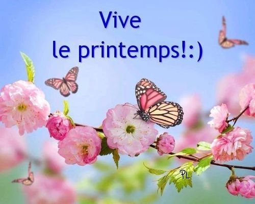 Avoir Images Le Blog De Bichon21 Culture Humour Rencontre Philosophie actualisé salutations