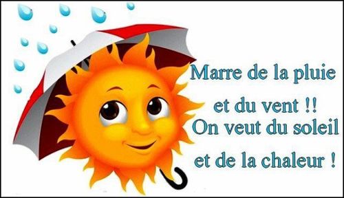 Téléchargement gratuit Images Le Blog De Bichon21 Culture Humour Rencontre Philosophie dernière par