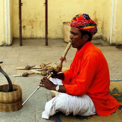 Charmeur de serpent, Inde.
