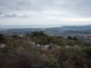 Sortie Trail de la Saint Sylvestre - Baou des Noirs (Vence) 