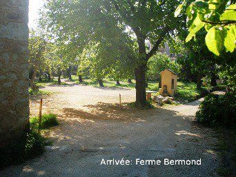 Un récit (presque) « live » du 11 km de « Courir pour les Droits de l’Homme » 2012 Podiums pour l'ASPTT Nice