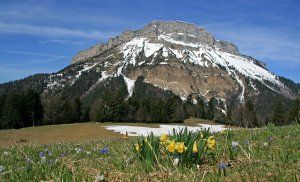 L'ASPTT Nice à l'Ultra Trail des 4 Massifs - UT4M (Grenoble - 38) 