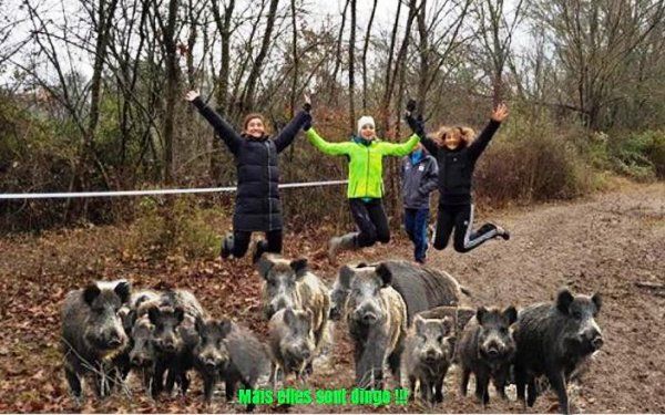 1/2 Finale PACA-Corse des Championnats de France de Cross 2016 (Rocbaron - Var) Qualification aux France de l'équipe Master et de Magali, Céline et Anthony