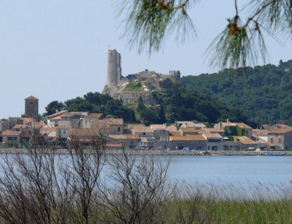 Le Gruissan Phoebus Trail 2017 (Aude) avec Bastien Duvalet