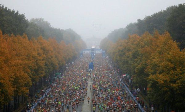 Marathon de Berlin 2017 - Nicolas Dalmasso sous les 2h30'