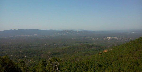 Trail des Mange-Lamberts 2018 (Puget-sur-Argens, 83)
