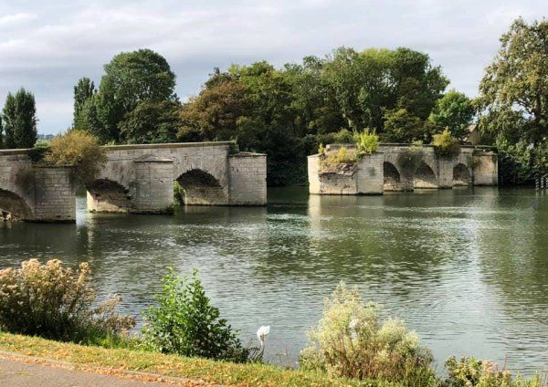 Trail des Loups 2019 (Limay, 78) - Un lancement avec Bernard Lefevre (3ème Master 3)