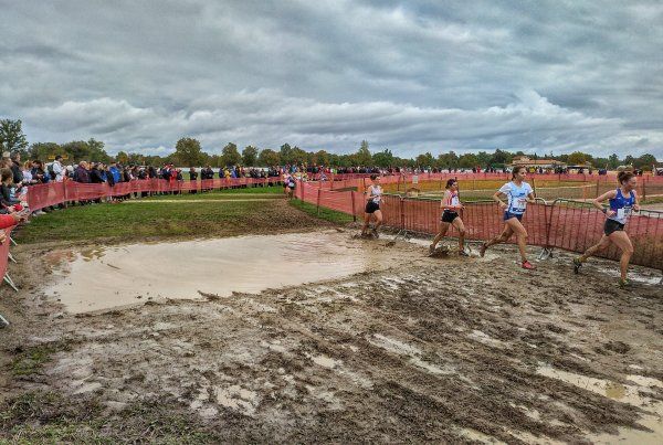 Retour sur les France de Cross 2021 à Montauban