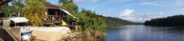 Les Lapinous en Guyane : Cayenne et Roura