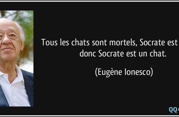 Citation Justice Platon 55+ Gratuit Citeonweb