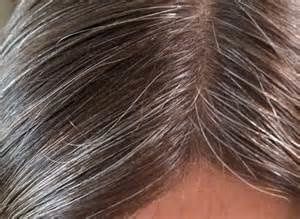Coloration cheveux blancs sauge Coloration cheveux blancs sauge