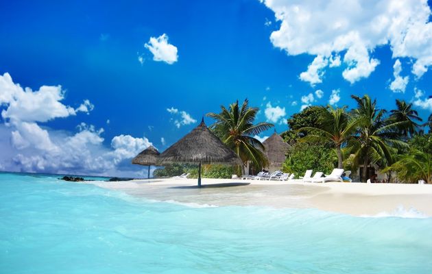 Get Fond decran de plage paradisiaque gratuit For Android Free