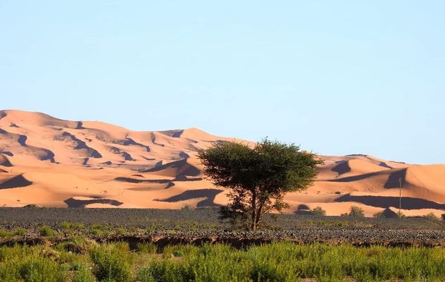 Group shared 3 days Marrakech to Fes desert tour via ErgChebbi dunes