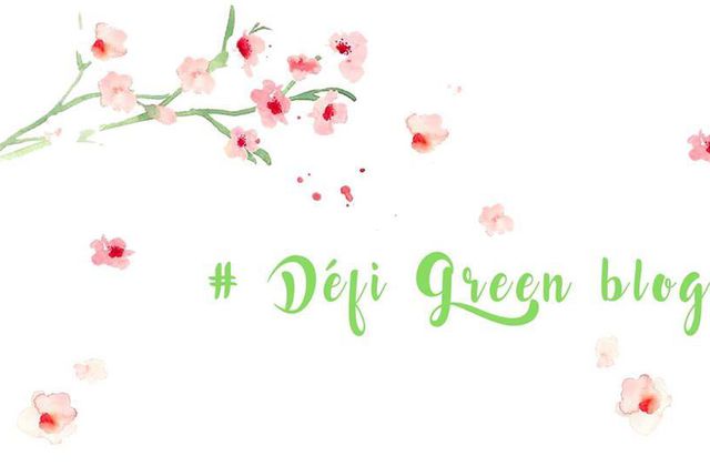 Le Défi Green Blog et moi…