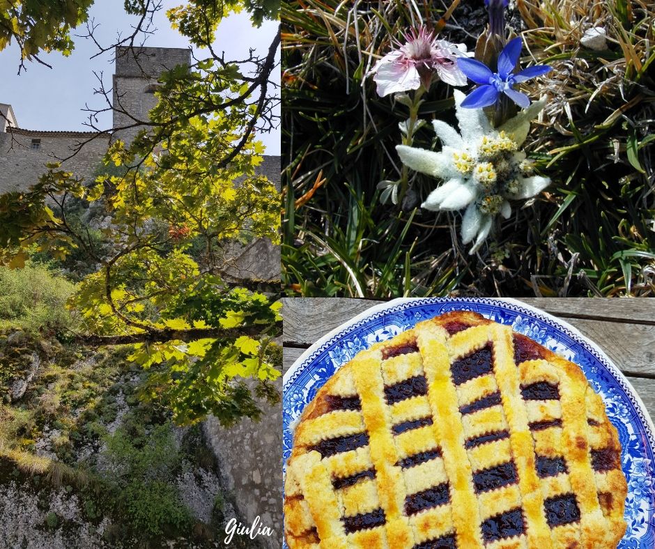 Tarte des Alpes.jpg3