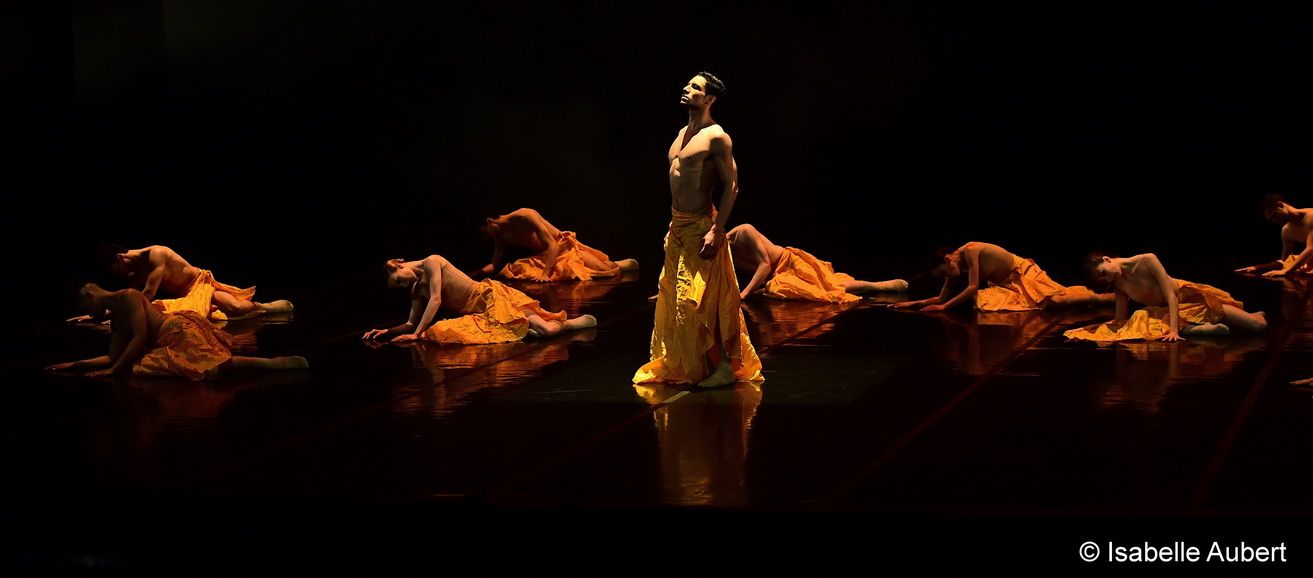 DREAM © Philippe_Escalier CIE JULIEN LESTEL _DSC_3571