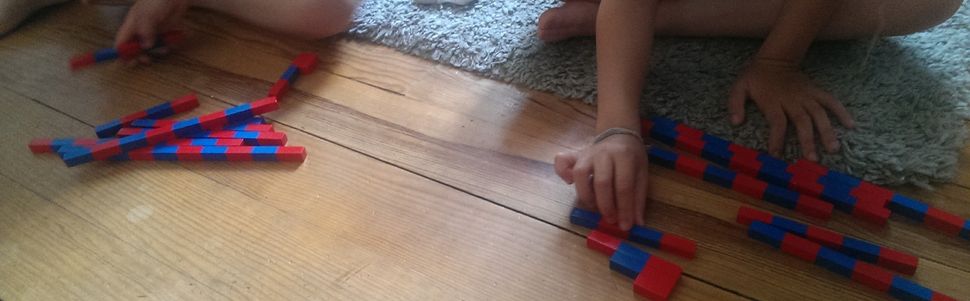 Les tortues (4)