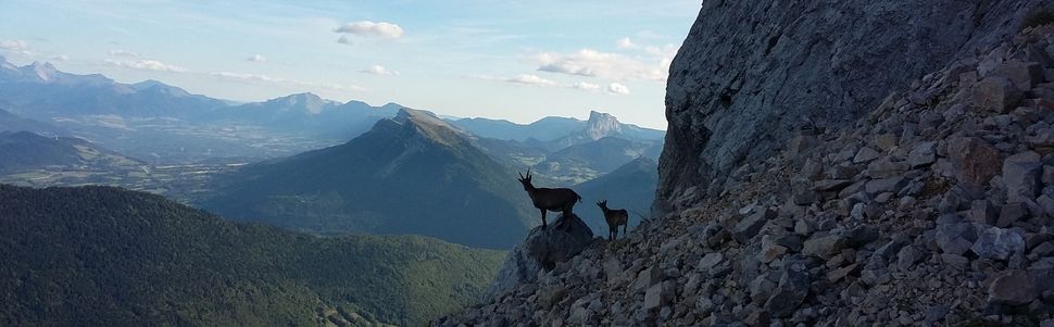Tour du proprio - 4 septembre 2017