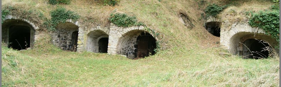 Les caves Saint Julien