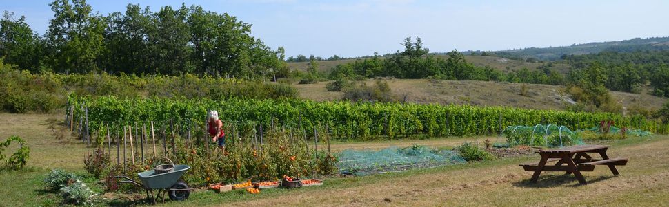 Domaine Les Cyprès - atelier - potager - vignoble