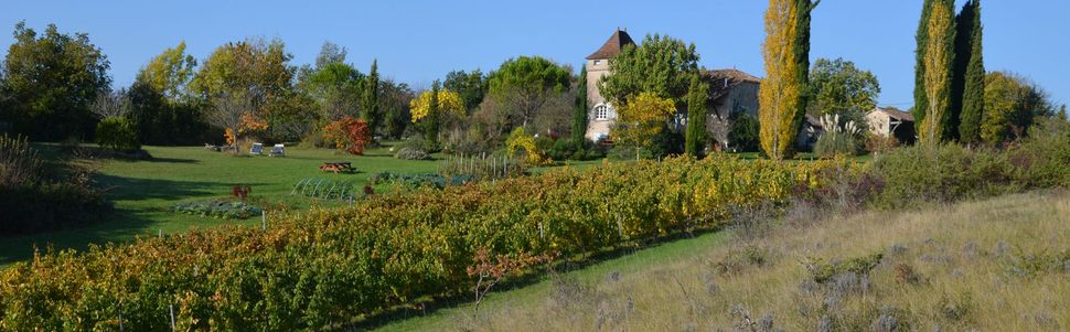 Domaine Les Cyprès - couleurs d'automne et vin nouveau !