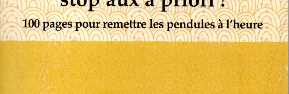 POESIE ET CHANSON , STOP AUX A PRIORI ! MATTHIAS VINCENOT. EDITIONS FORTUNA, 2017.