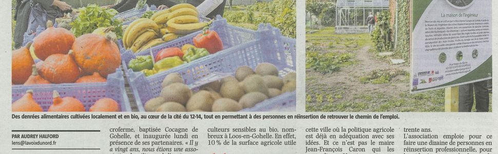 Au Pays de la Gohelle : les Anges Gardins