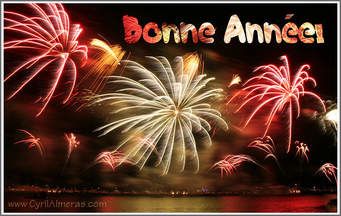 Bonne Année 2017