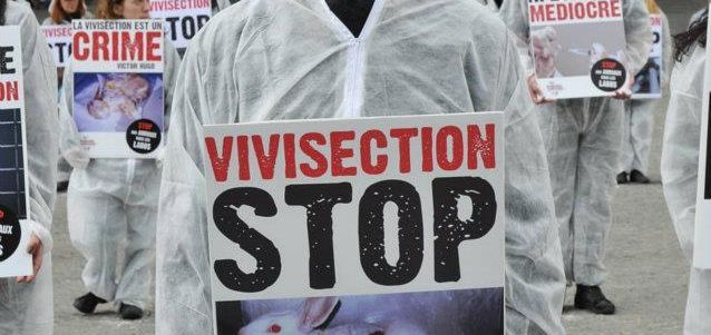 STOP MACRON. Un billet de Gérard Charolois. Critique JUSTIFIEE des VERTS. Legislatives 2017. EELV!!!