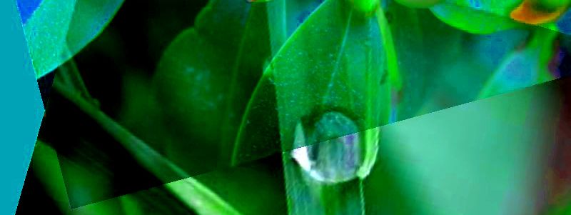DROPS OF DEW Anthology - Tzemin Ition Tsai (Taiwan) / Lidia Chiarelli (Italy)