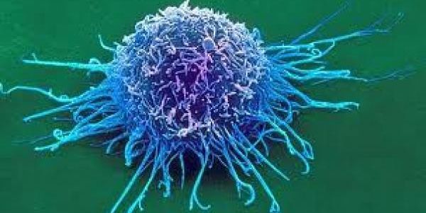 Virus, bactéries, immunité, faiblesse, dépression, précarité, récurrence... Et cancer !