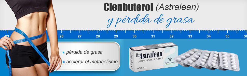 Clenbuterol y pérdida de grasa