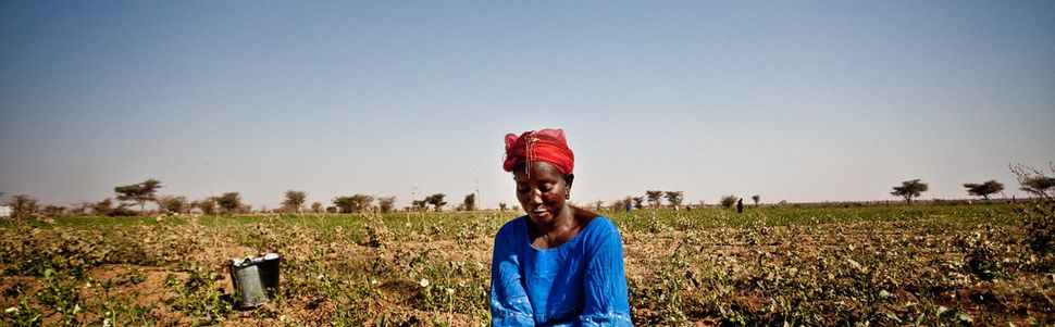 Famines: de l'urgence d'agir contre les accaparements de terre, ici et là bas