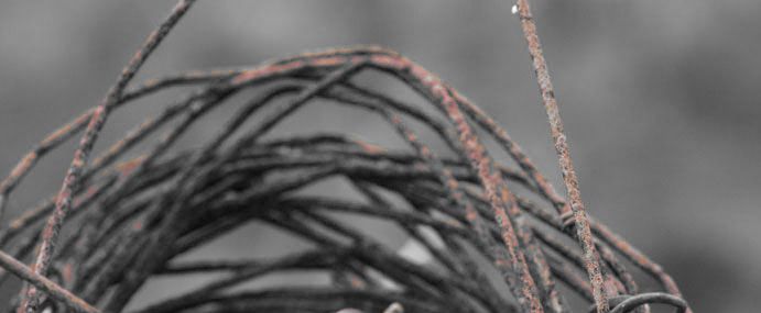 Une Bonne Nouvelle N Arrive Jamais Seule Une bonne nouvelle n'arrive jamais seule - Le blog des Trois Petiotes